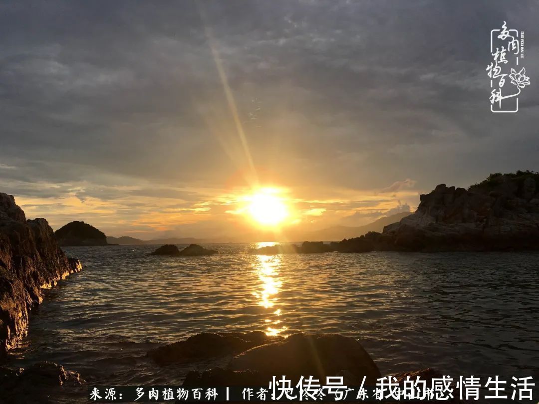 养多肉的路上患得患失，却依然如最初般热爱！