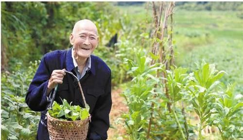 长寿之人，多有“1清2勤3小”的特点，若你也是，提前恭喜了