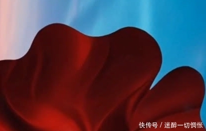 新娘|奇闻:拍婚纱照的时候,被掀开裙子,瞧完成片后惊艳了