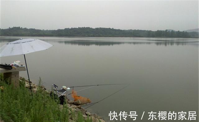 仲秋钓鲫鱼,有时要钓底,有时要钓浮,不考虑鱼层变化是没前途的