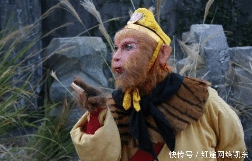 消息|孙悟空被赶走之后,为何菩提祖师也没消息?看完洞府对联就懂了