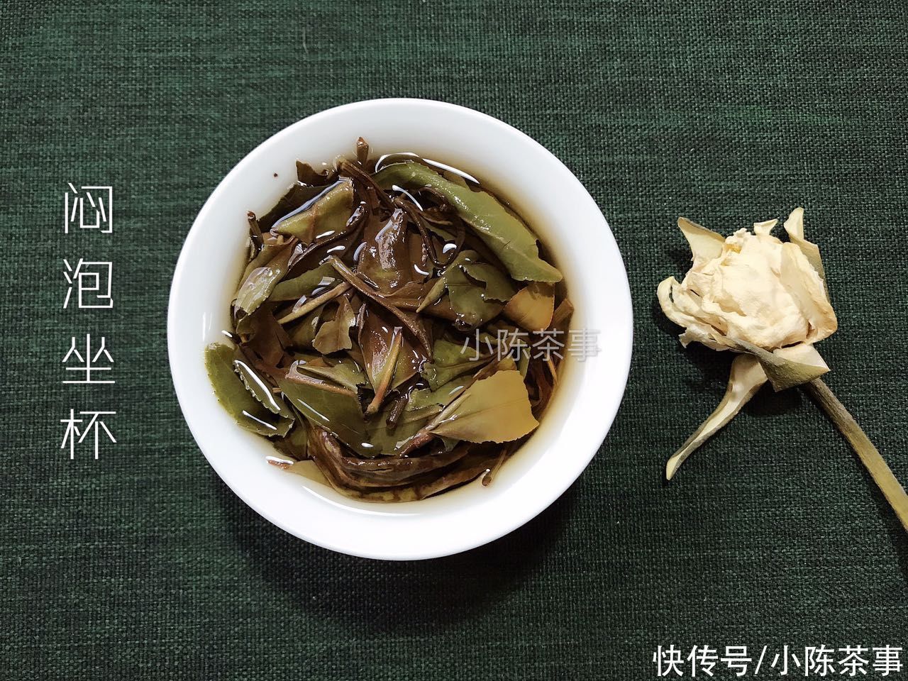 白茶品鉴手记|早上泡杯白茶，晚上再喝？看完这四点原因，答应我别再以身试茶了
