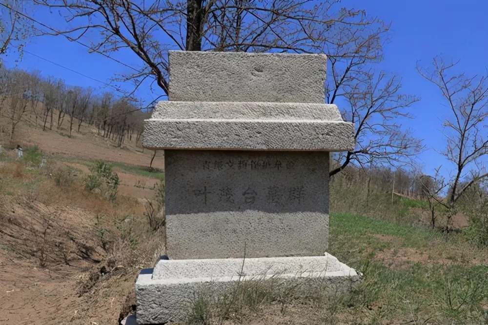 醒来|盗墓贼喝下墓中千年老酒:2天后醒来说了句话至今成笑柄...