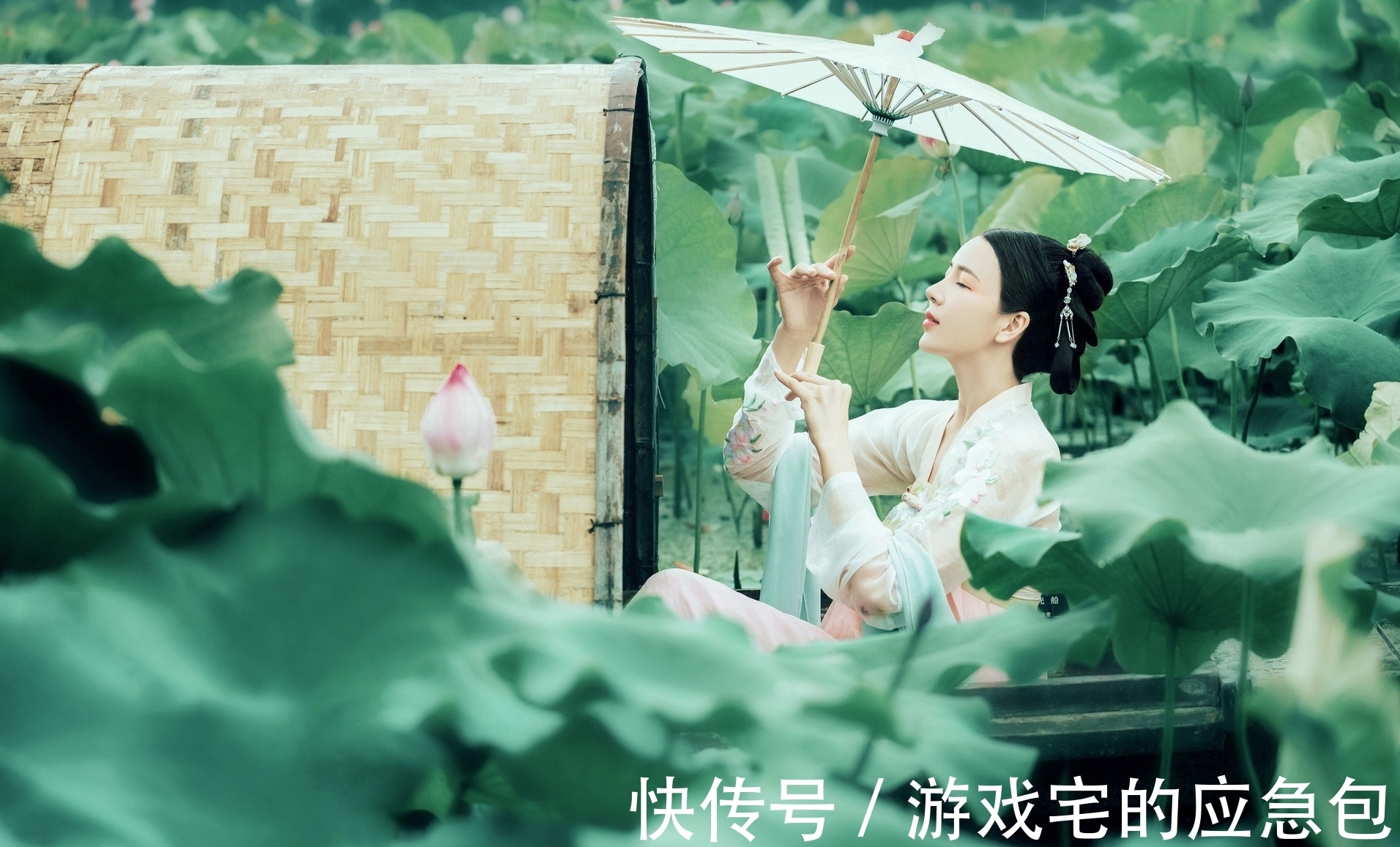 露寒!诗·十首丨露寒袭褪三分绿,雨冷摧来半数黄