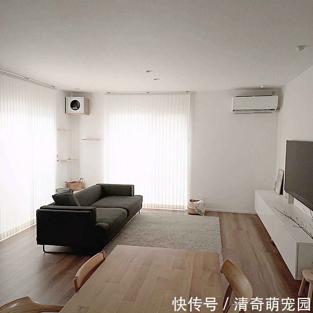 日本太太坚持一天收拾一个区域,家里整洁有序,真的很治愈