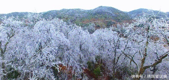 隆回雪峰山大花瑶景区白雪纷飞，银装素裹美醉了！