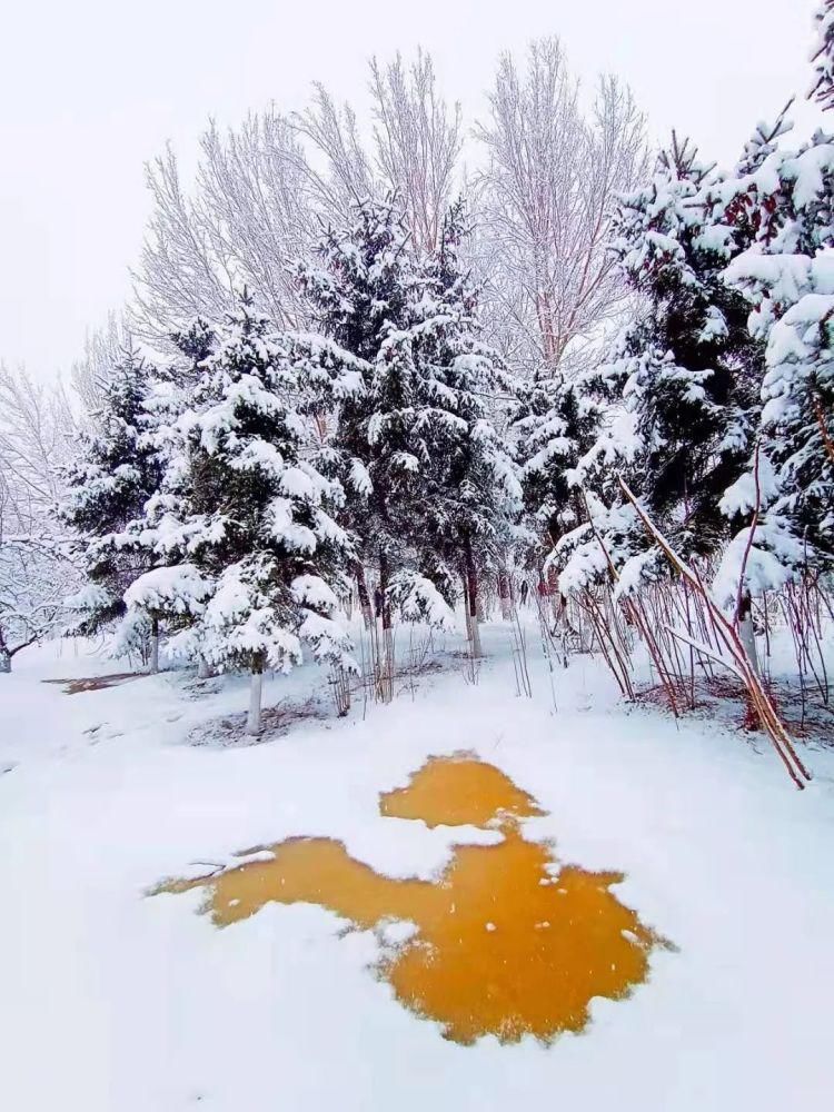 中年|冰天雪地看本溪之瑞雪兆丰年（1）