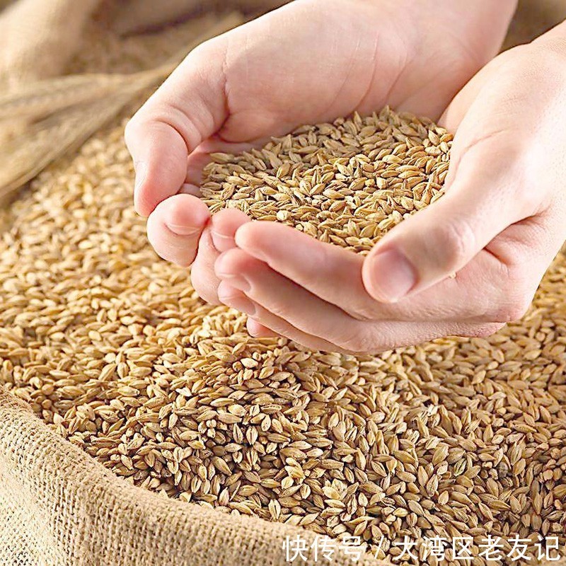 长寿老人|长寿老人都爱吃的11种食物,健康长寿