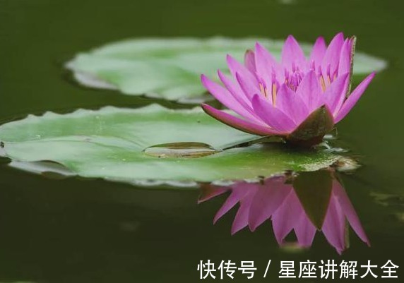 正财|12月下旬，4属相运势如虹，八方聚财，生活如鱼得水