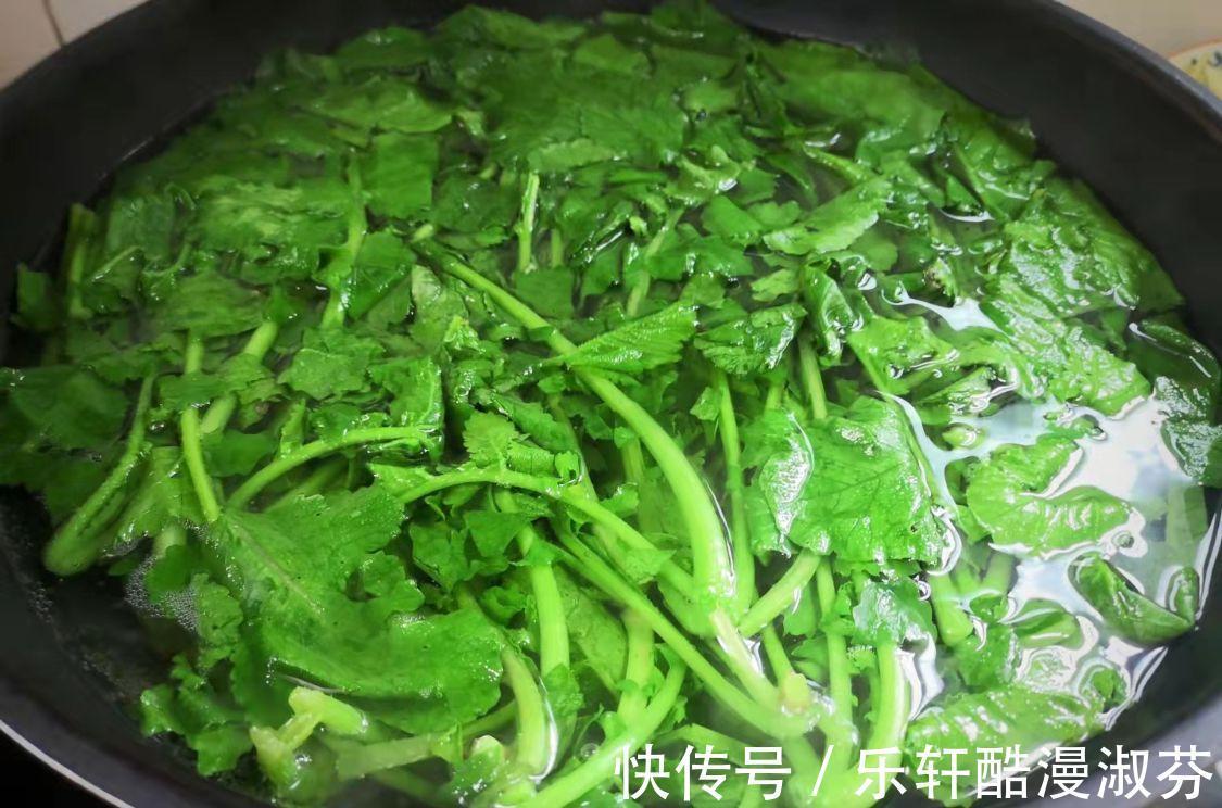 鲜嫩|蔬菜中的“人参”，叶子营养极高，9月正鲜嫩，鲜嫩翠绿特下饭！