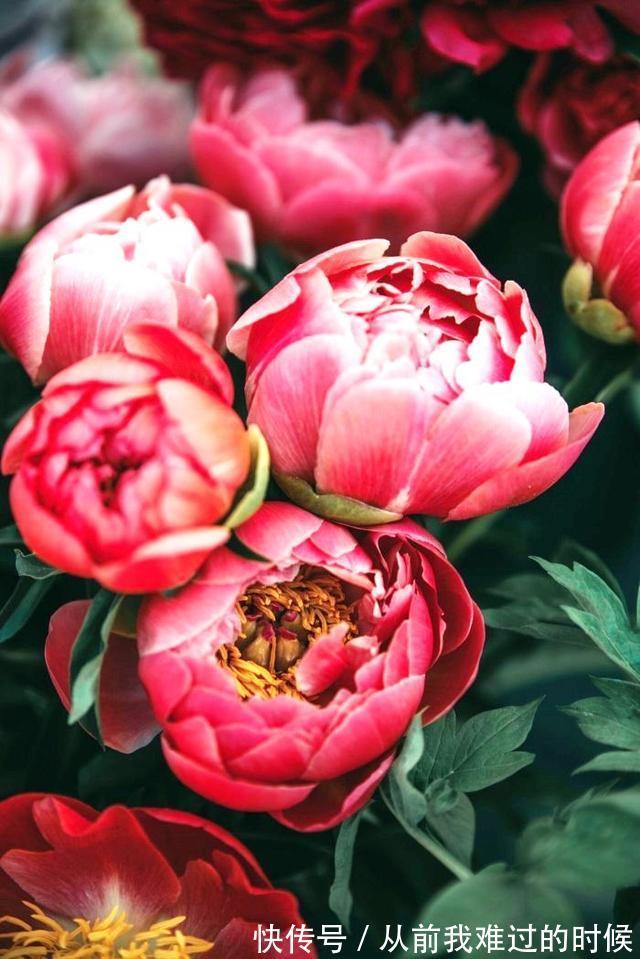 警世名言!醒悟人生的警世名言,睿智透彻,句句中肯实用