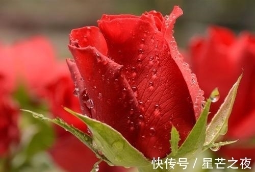 人缘|大家眼中的乖宝宝,没有人不喜欢,人缘超棒的四大星座