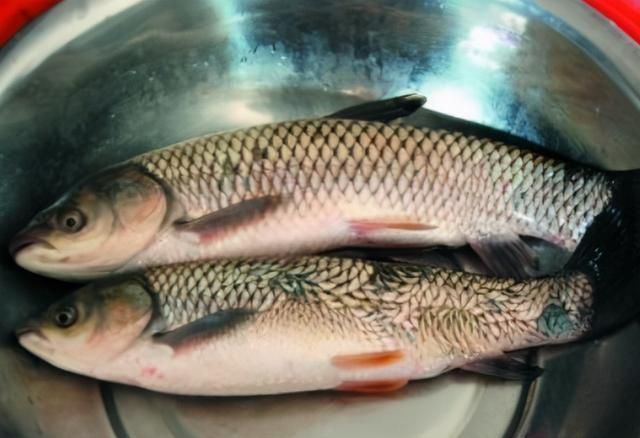 鱼肉|腌咸鱼时,别直接抹盐腌,多加1个步骤,咸鱼咸香入味,更易储存