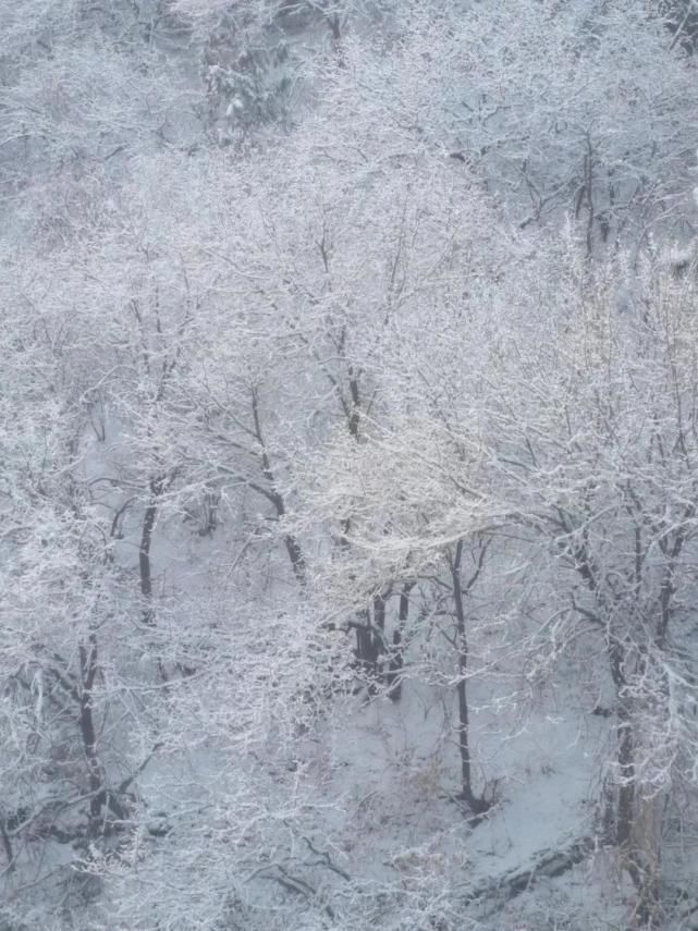 大美兴隆山！雪后的山峰“动”了起来