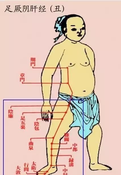 每个人的小腿内侧,都隐藏着一个“秘密”