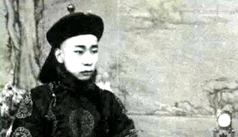 戊戌变法|清朝不止有12个皇帝,还有1个不被历史承认,但却真实存在过