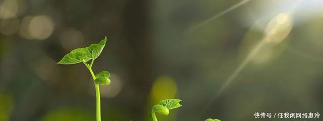 坤鹏|坤鹏论真正的哲学思想从巴门尼德开始(中)