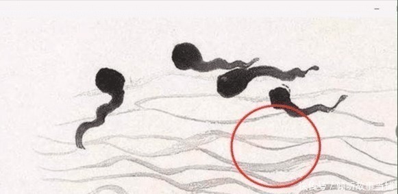 小蝌蚪&齐白石画几只蝌蚪为何成名放大“3.14倍”后,发现了4维空间
