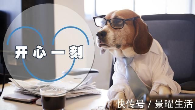 史上最强赘婿&四本智多近乎妖的经典小说,不小白不烂尾,看一眼就忍不住沉沦