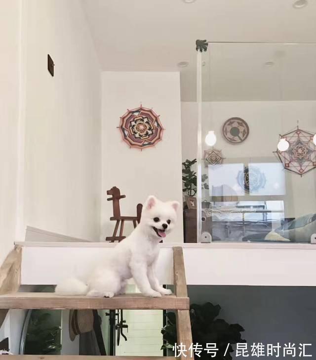 厨房|没人要的35㎡老破房,被她买下,改造装修后,成为弄堂里的豪宅