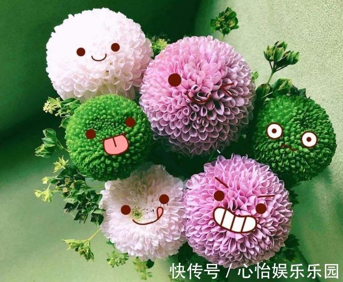 牡丹|此花,开似“乒乓球”,比菊花好养,比牡丹有趣,寓意团圆美满