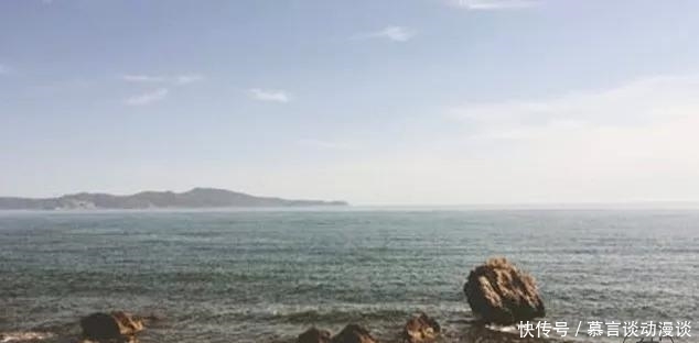 做人的最高境界:装傻