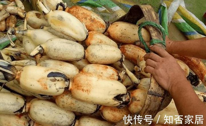 秋天别乱吃，多吃5种食材，顺应时节安稳过秋季，分享菜谱请收好