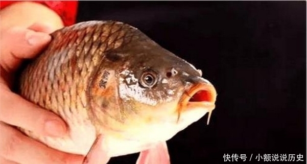 小药|钓友们一定要小心渔具带来的伤害,可能是致命的伤害