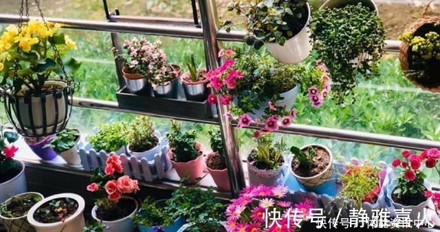 切割机|花盆买不起，自己动手做，好看又实用！花盆买不起，自己动手做，好看又实用！