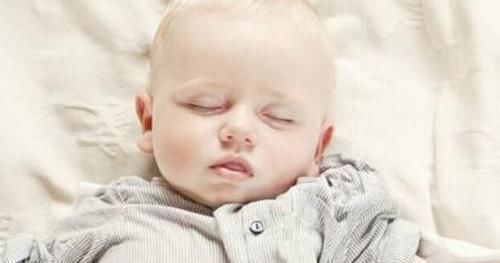 奶奶|“佛系”奶奶带娃走红,面对拆家熊娃也熟视无睹,一旁默默看戏