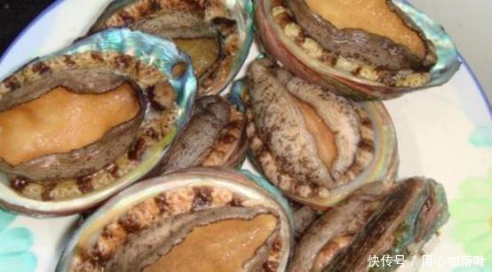 们需|鲍鱼究竟要如何制作才好吃这道捞拌鲍鱼你应该学会的!