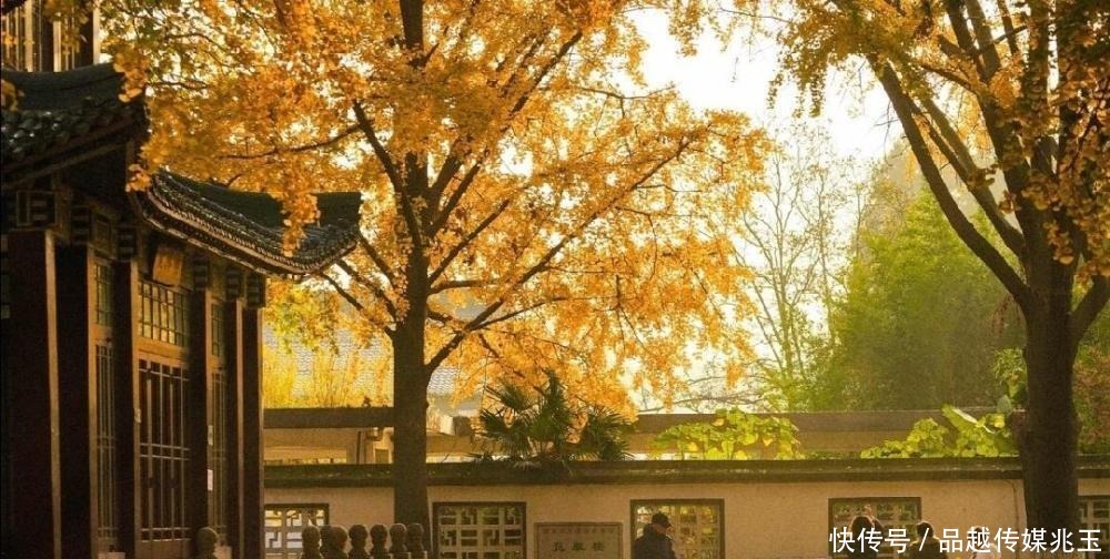 “庙小妖风大,人狠话不多”:真正有本事的人,都很安静