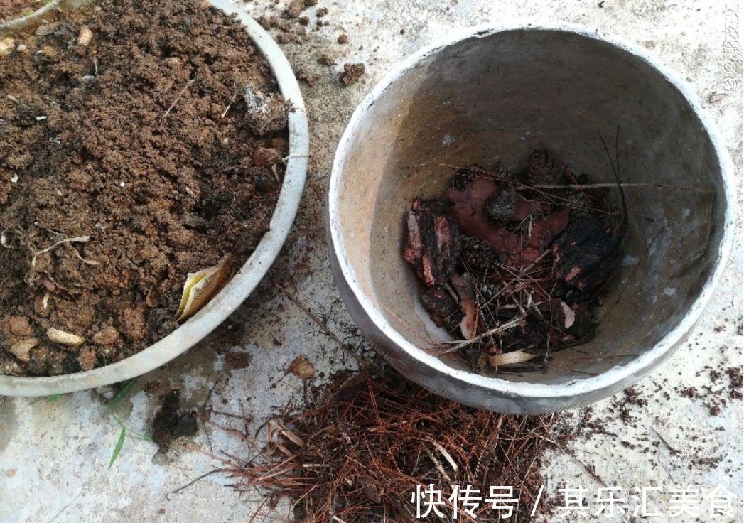 养花技巧：养花别用这种盆，养啥死啥，1棵都不剩