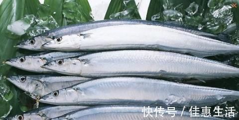 商家|为什么市面上的带鱼都是冰冻的，没有活的？商家：活的吃不起！