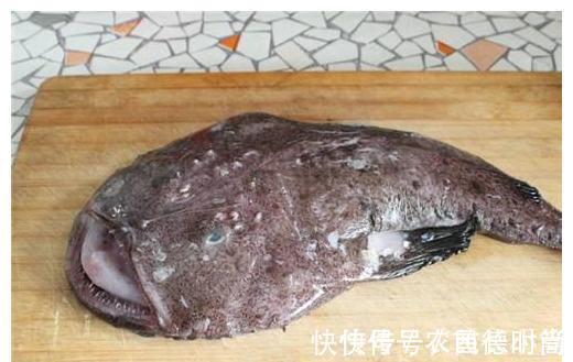 安康鱼|此鱼是个宝,却常被人嫌弃,常给孩子吃,强身健脑,少生病身体壮