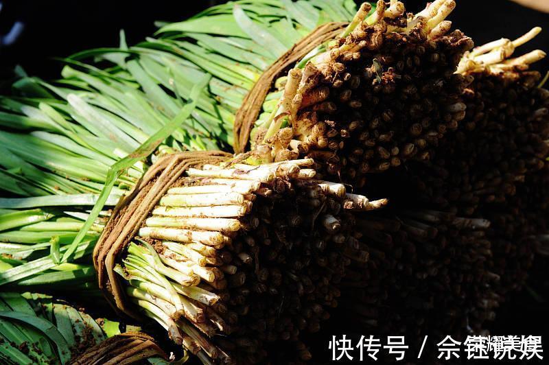 买韭菜学问多，挑宽叶还是细叶，选白根还是红根，看完涨知识了
