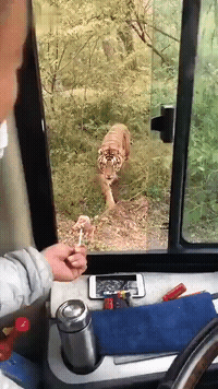 |搞笑GIF:第一次住女朋友家 她爸突然进来了