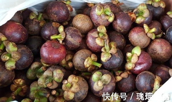 挑山竹有窍门，30年老果农教你4招，个个肉厚核小口味超甜！