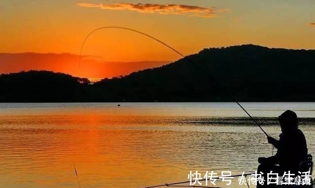 他野钓钓到六斤鲫鱼王，一看竟是“太监鲫鱼”这究竟是谁的功劳