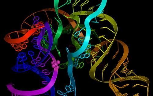 我们或许真是从石头缝里蹦出来的——生命起源