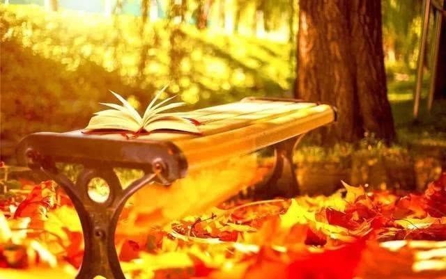 辛弃疾体悟人生的词,尝尽世间酸甜苦辣,极具深度,难怪千年传颂