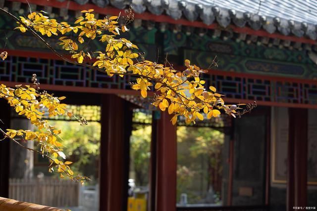 秋凉#写在秋天里的16首诗词霜摧老树雪加霜,瑟瑟秋风地落黄