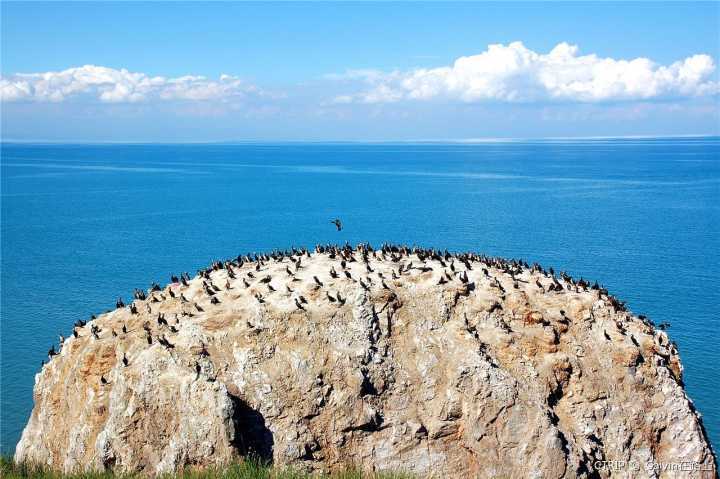 湖泊|青海湖又变大了，20年中增加面积堪比57个西湖，并非只是降水增多