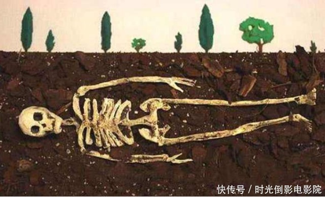 人去世后埋进土里，3D动画模拟身体变化，看完之后莫名悲酸！