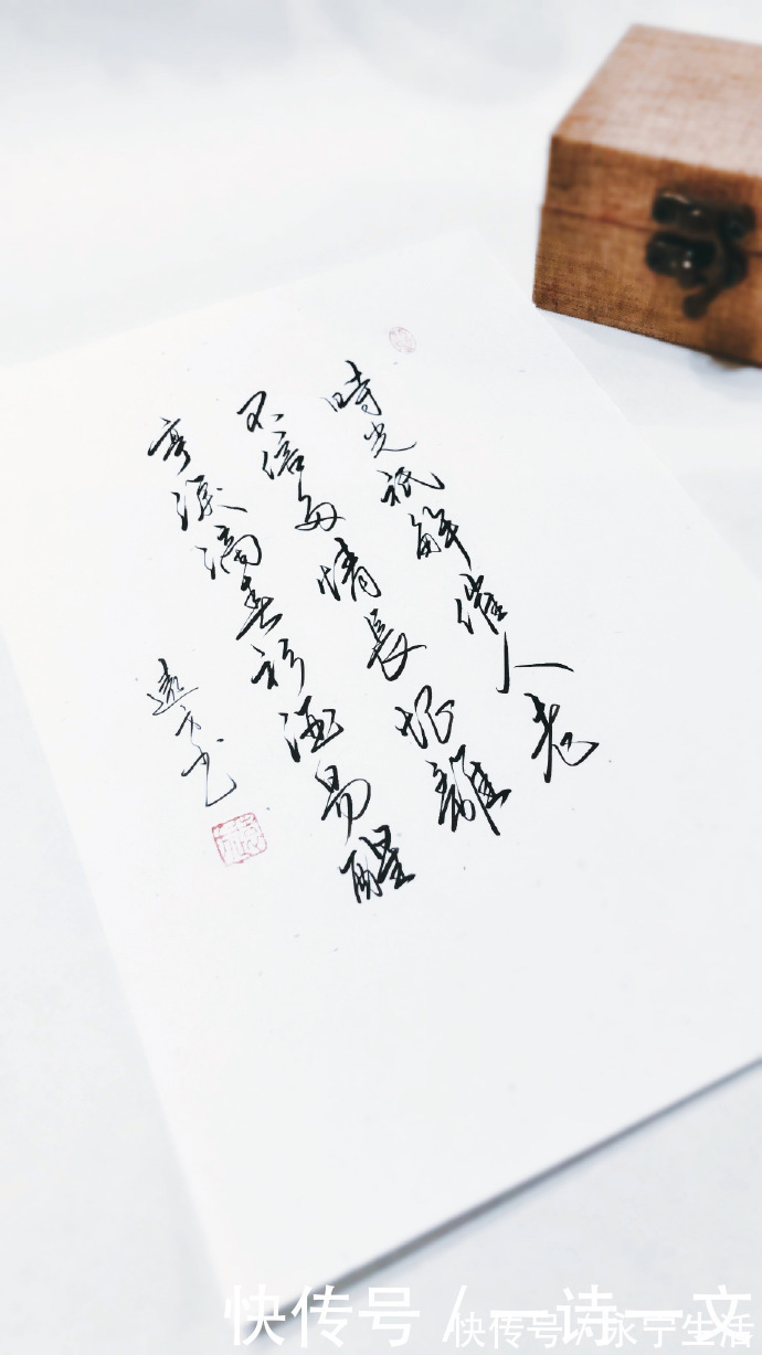 人生|既然人类微渺得如同一只蜉蝣,那么人生须臾,不如绽放