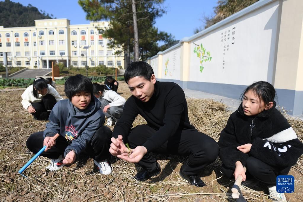 种植园|山村小学的中草药特色课