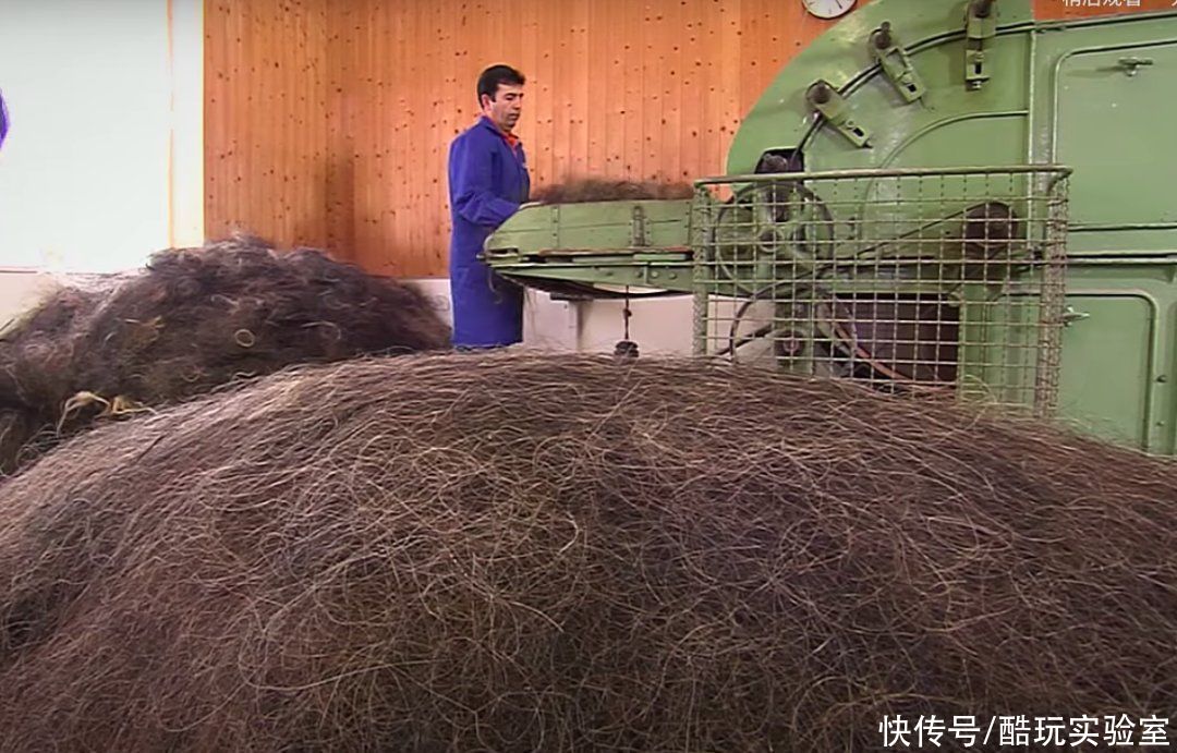 马毛|你想在价值10万元的床垫上滚床单吗?