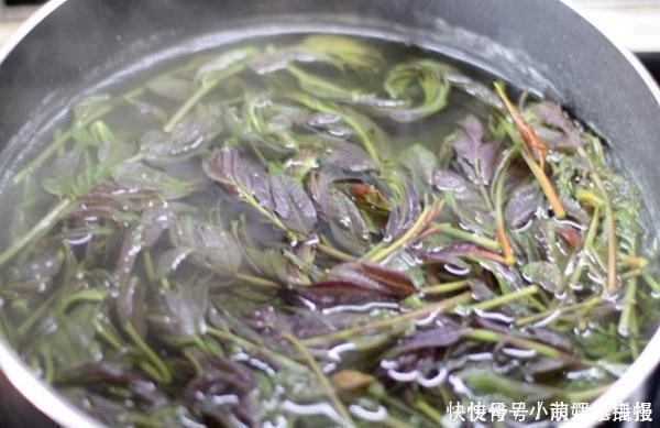 必须要焯水的5种蔬菜,很多人都省略了这步,有的人吃了会肚子疼