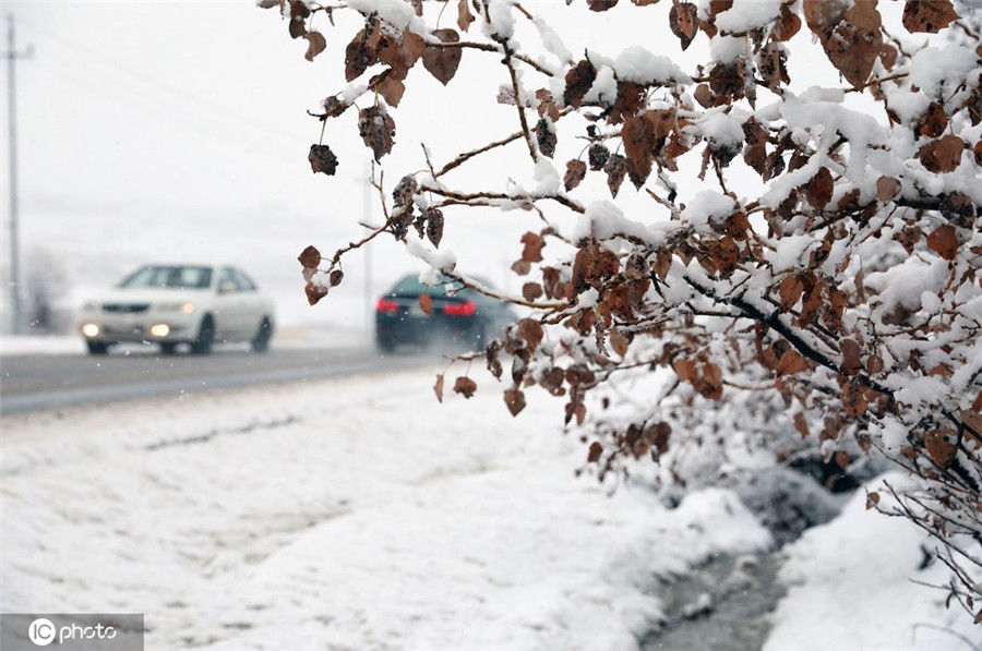 埃尔比勒|伊拉克埃尔比勒迎来降雪 银装素裹宛若仙境