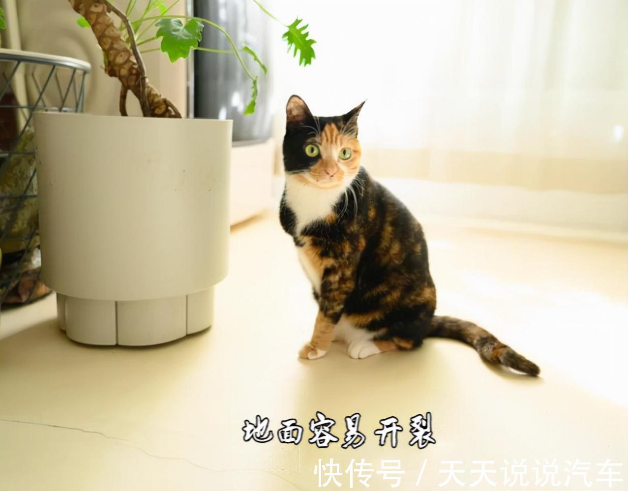 高逼格|不要再被这些“网红设计”给带偏了,住进去发现全是鸡肋,不实用